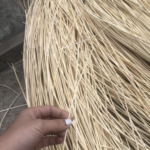 Hand-<b>bleached</b> raw rattan for agricultural product supplier Bao Tram Anh - Product Image 3