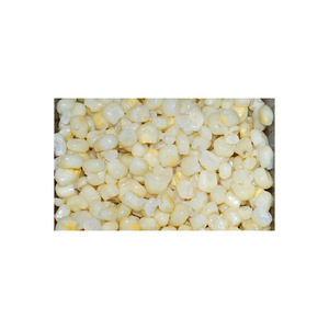 Maíz Blanco para Venta al por Mayor con Precio de Fábrica y Estándares de Calidad para Exportación - Product Image 2