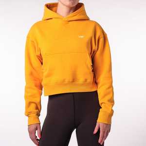 Oem Service New Design Custom Women Oversized Fleece Hoodie Long 100% Cotton Pullover Sweatshirt Plus-Size Autumn Anti-Wrinkle - Product Image 1