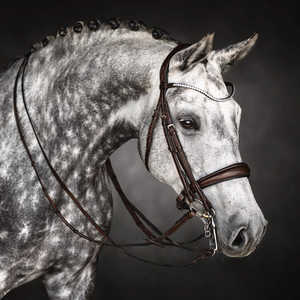 สนับมือขี่ม้าพร้อมสายคิ้วคริสตัล เรียงนุ่ม โล่งหินสตราสพร้อมฮาร์ดแวร์สแตนเลส - Product Image 6