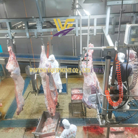 Mini-équipement complet d'abattoir de bovins Ligne d'abattage halal de vaches Équipement de boucherie Machine de traitement de la viande bovine