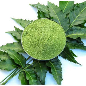 Poudre de Neem pure pour masque facial contre l'acné et traitement nettoyant des pores, soin de la peau ayurvédique biologique pour peaux grasses et éclat clair, 1 lb - Product Image 3