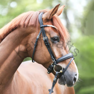 Brida elegante de doma cuero engrasado con banda para la nariz con manivela, tocado anatómico, banda para cejas con diamantes de imitación blancos y correa para Flash - Product Image 2