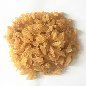 High Standard Wholesale Natural Bulk <b>Large</b> Raisins Non-GMO Sultan Raisins for Food Cheap price - Product Image 2