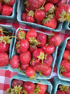 สตรอว์เบอร์รีออร์แกนิคเกรดพรีเมียมสดใหม่ 10 กก. จากฝรั่งเศส - Product Image 3