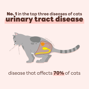 แครนเบอร์รี่แบบพกพาและดูแลอาหารแมวอาหารเสริมวิตามินแมว Dr. by UT Care - Product Image 2