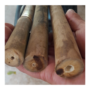 Poteau en bambou: meilleure vente de matériel en bambou/poteau en bambou pour la construction/poteaux en bambou droits bruts d'origine au Vietnam - Product Image 5