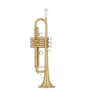 Trompeta Profesional de Marca Taiwanesa, Trompeta de Alta Calidad - Product Image 1