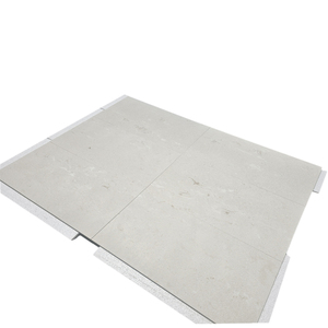 2025 Shell Fossil Calcaire Mat Intérieur/Extérieur Carrelage 1.2x50x100cm Finition Brossée Carreaux Naturels de Haute Qualité pour Villas Modernes - Product Image 4