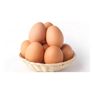 โต๊ะอินทรีย์ฟาร์มไข่ไก่สดเปลือกสีขาวไก่ไข่ฟัก - Product Image 6