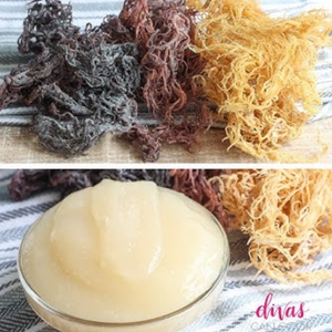 Gel de mousse de mer Superfood naturel Gel de mousse de mer à saveur d'ananas Gel de mousse de mer biologique cru et nutritif - Product Image 5