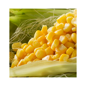 Vietnam Premium IQF Frozen Baby Corn Granos de maíz amarillo Venta al por mayor Exportación a granel Suministro de fábrica - Product Image 2