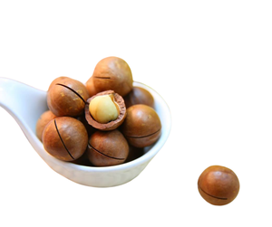 QUALITÉ SUPÉRIEURE Saveur Douce Main Squeeze Yummy Snack Fruit Wholesale Supply Coquille SÉCHÉE de haute qualité Noix de MACADAMIA en 500g - Product Image 1