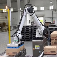 Lengan Robot Kolaboratif Huayan E10 dengan Daya Angkut 10kg dan Cup Hisap Vakum untuk Palletizing