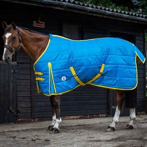 Winter Horse Stable Combo Rugs by Denier Fabric Whole Sales Heavy Weight Cotton <b>Fill</b> Padding with Custom Logo - Product Image 1