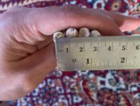 Granulés de bois de pin très demandés, diamètre 6 mm, densité 600-800 kg/m³, longueur 10-40 mm, humidité 4 %, teneur en cendres 0,3 %