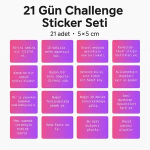Set de Pegatinas de Desarrollo Personal para el Reto de 21 Días, Domina tus Metas con este Arte de Vinilo Inspirador y Motivador - Product Image 3
