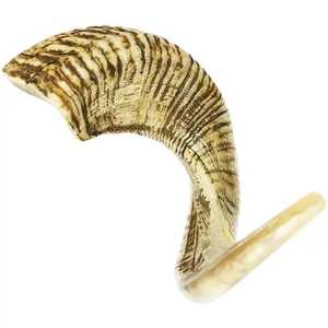 Cuernos de carnero de oveja tradicionales para entrenamiento de cuerno de rango libre orgánico Shofar de cuerno de carnero a bajo precio Exportador - Product Image 1