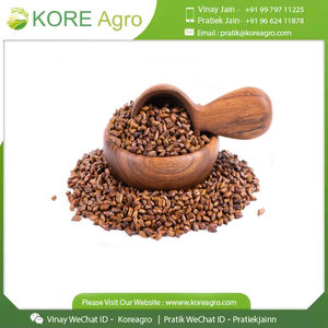 100% semillas secas naturales de Cassia Tora Extracto de hierbas y extracto de semillas cultivo salvaje producto puro - Product Image 6