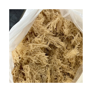 สาหร่ายดิบจาก Eucheuma ออร์แกนิกสำหรับเคลือบเส้นก๋วยเตี๋ยวและฐานซอสที่ทำจากพืช - Product Image 1