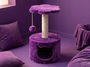 Petite niche pour chat Violet Blossom avec une touche ludique - Product Image 4