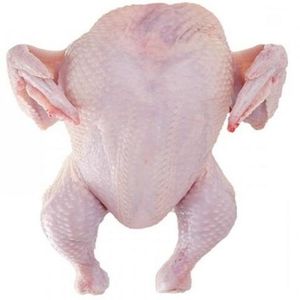 Pollo Entero Congelado Halal de Alta Calidad y Partes de Pollo de Brasil, Pollo Fresco a Granel con Certificación Halal - Product Image 6