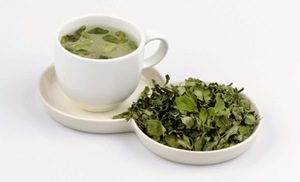 มะรุมอบแห้งคุณภาพสูงจากธรรมชาติ 100% ต้นกําเนิดจากเวียดนามในราคาต่ําดีต่อสุขภาพ - Product Image 2