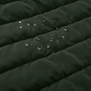 Chaqueta Acolchada Fabricada en Pakistán, Chaqueta Acolchada Brillante para Hombre, Abrigo Acolchado Impermeable para Invierno, para Uso Casual y al Aire Libre - Product Image 4