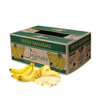 Premium Verse Cavendish Bananen Van Hoge Kwaliteit Boerderij Geteeld, Groothandel Voor Exportmarkten