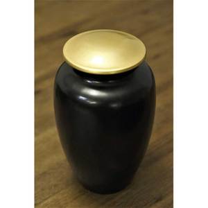 Urne funéraire en bois en laiton blanc de qualité supérieure Urne funéraire humaine pour animaux de compagnie abordable de haute qualité - Product Image 6