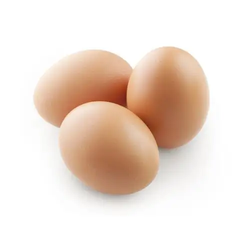 Telur meja ayam cangkang putih segar pertanian murah segar organik