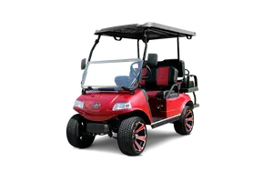 Carrito de Golf Eléctrico de Lujo UltraSilencioso para 4 Personas, Motor con Reducción de Ruido, Asientos de Cuero de Primera Calidad, 24 km/h, Autonomía de 60-100 km, para Gama Alta - Product Image 5