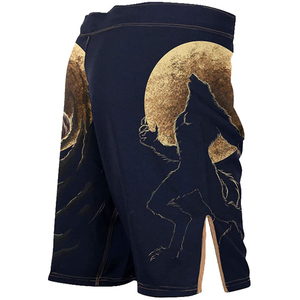 2023 Nouvel arrivage Fourniture directe d'usine Logo personnalisé Prix de gros Service OEM Prêt à expédier Shorts MMA professionnels pour hommes - Product Image 2