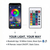 Tira de Luces LED RGBIC Direccionables WS2812B con USB Tipo-C de 5V CC, Sincronización de Música con Aplicación Inteligente, Cinta de Píxeles para Decoración de TV, Monitor y Sala de Juegos