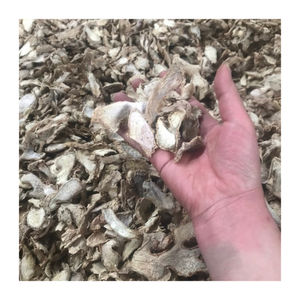 Venta al por mayor de rodajas de jengibre seco de Vietnam-Jengibre deshidratado natural para cocinar y mezclas de té-Jengibre seco de alta calidad - Product Image 6