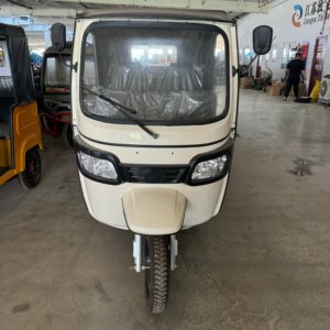 รถสามล้อไฟฟ้า3000W สามล้อไฟฟ้า3ล้อสำหรับผู้โดยสารรถสามล้อคุณภาพสูง - Product Image 3