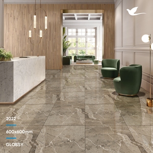 Nouveau Mat carreaux! Carrelage de sol en porcelaine mate, sol de qualité supérieure, épaisseur 8.5mm 60x60cm - Product Image 6