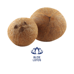 Coco virgen de VIETNAM - Product Image 6