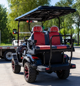 Carrito de golf económico de 2, 4 o 6 plazas con motor potente - Product Image 4
