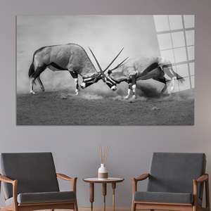 Impresión en lienzo monocromática de la lucha de orixes y antílopes de la vida silvestre africana, arte en vidrio templado - Product Image 1