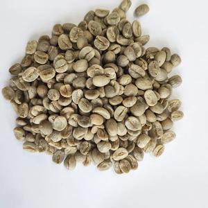 Granos de Café Verde Robusta Orgánico Premium Directamente del Proveedor Vietnamita para Tostadores de Café - Product Image 1