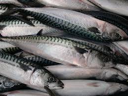 Pescado Entero Congelado de Alta Calidad, 200-400g, Envasado al Vacío - Product Image 3