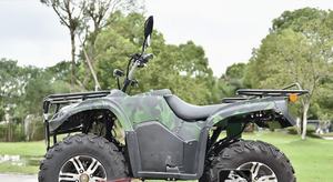 Cuatrimoto Eléctrica para Adultos de 3000W-6000W, 2 Plazas, Tracción 4x4, 300cc, Precio Competitivo para Electrónica de Consumo - Product Image 2