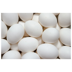 Huevos de Gallina Frescos Blancos de Primera Calidad AA, Origen Reino Unido - Product Image 5