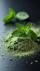 Polvo de menta deshidratada natural y hojas de menta 100 por ciento bebida de grado alimenticio té suministro a granel exportación OEM - Product Image 3