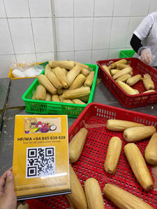 ¡DEL CENTRO DE VIETNAM: MAÍZ ENTERO CONGELADO PREMIUM CON DULZA Y FRESCURA NATURAL! - Product Image 2