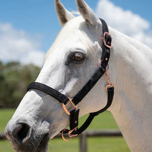 Produits de vente directe d'usine licou en nylon réglable en nylon matériau souple logo personnalisé licous de cheval - Product Image 6