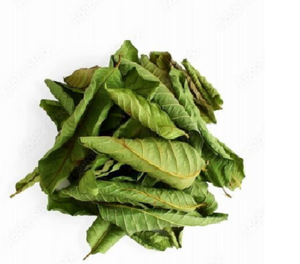 Alcachofa Seca al Sol con Capullo y Hoja Entera, Precio Directo de Fábrica, Hojas Puras de Planta, Empacado en Caja de Cartón, Vietnamita - Product Image 1