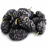 100% Natuurlijk IQF Diepvries Mulberiën Hele Premium Fruit Bulkverpakking voor Groothandel
