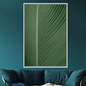 Sérénité botanique : Art mural sur toile imprimée pour une décoration paisible, TOILE ENCADRÉE BLANCHE - Product Image 1